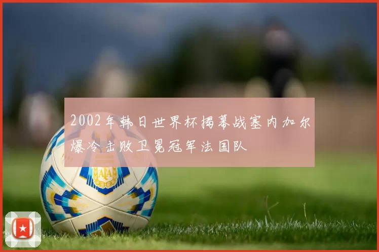 2002年韩日世界杯揭幕战塞内加尔爆冷击败卫冕冠军法国队