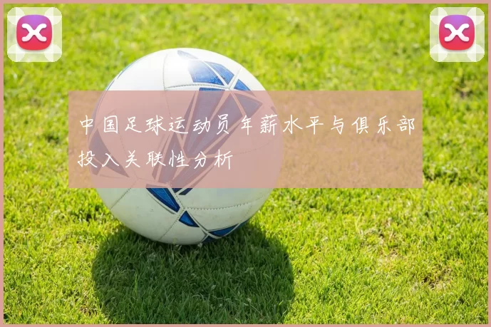 中国足球运动员年薪水平与俱乐部投入关联性分析