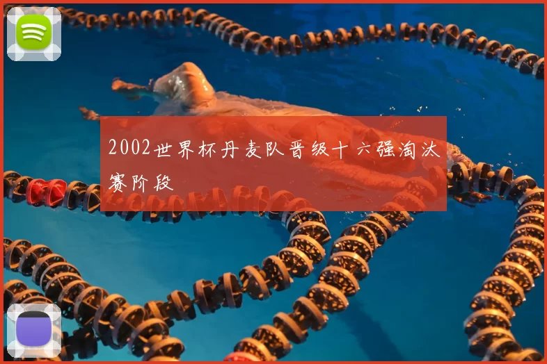 2002世界杯丹麦队晋级十六强淘汰赛阶段