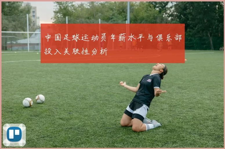 中国足球运动员年薪水平与俱乐部投入关联性分析