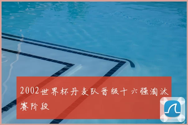 2002世界杯丹麦队晋级十六强淘汰赛阶段