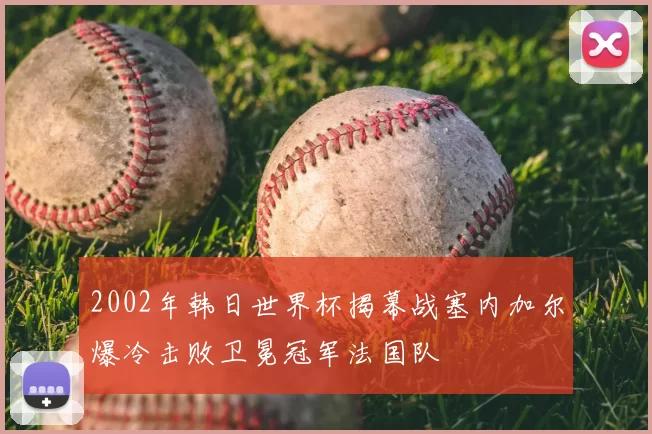 2002年韩日世界杯揭幕战塞内加尔爆冷击败卫冕冠军法国队