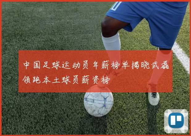 中国足球运动员年薪榜单揭晓武磊领跑本土球员薪资榜