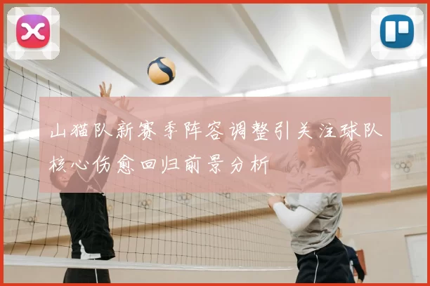 山猫队新赛季阵容调整引关注球队核心伤愈回归前景分析