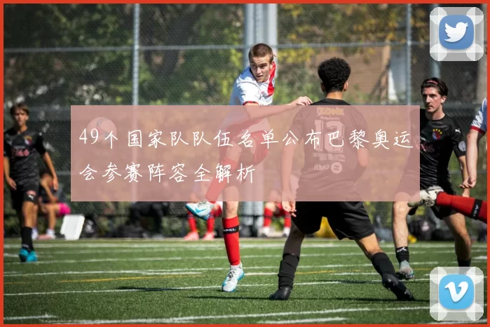 49个国家队队伍名单公布巴黎奥运会参赛阵容全解析