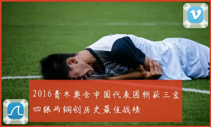 2016青冬奥会中国代表团斩获三金四银两铜创历史最佳战绩