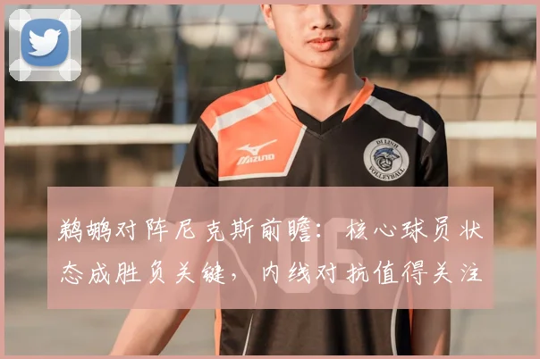 鹈鹕对阵尼克斯前瞻：核心球员状态成胜负关键，内线对抗值得关注